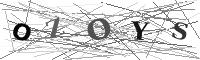 Please refresh your browser to see this image.