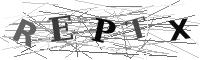 Please refresh your browser to see this image.