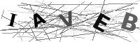 Please refresh your browser to see this image.
