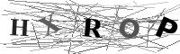 Please refresh your browser to see this image.